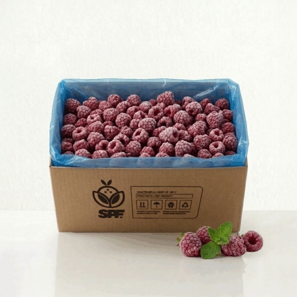 Frambuesa |GRANEL x 10kg - Imagen 1